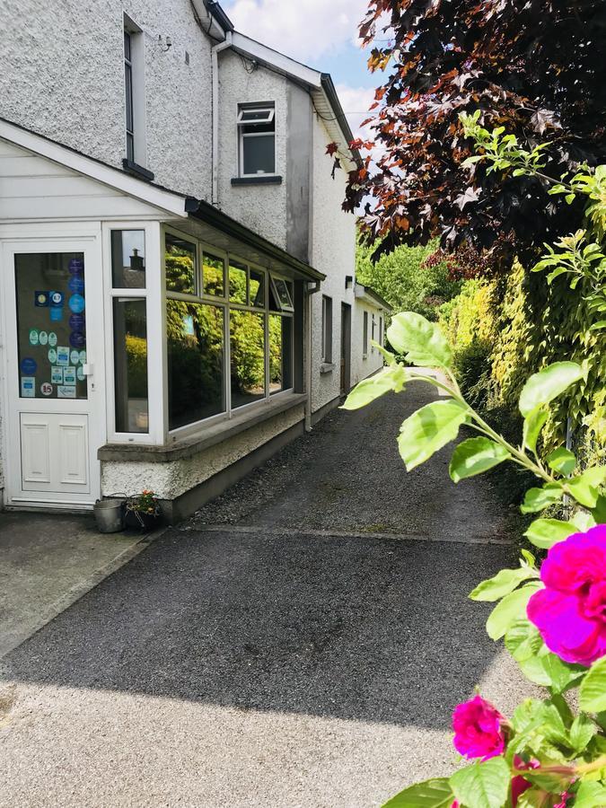 San Antonio Guesthouse Kilkenny Kültér fotó